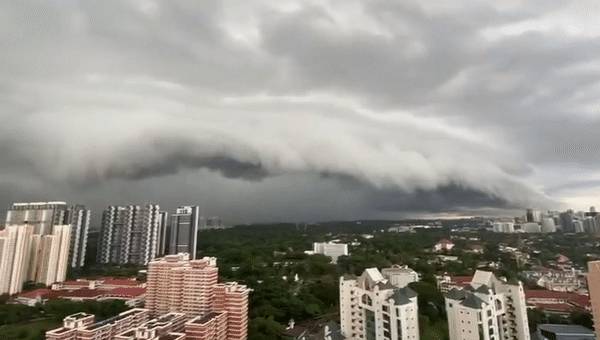 犹如世界末日！实拍新加坡被海啸云“吞没”！暴雨、发大水、树倒