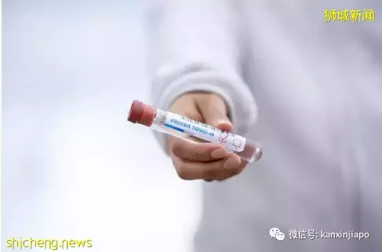 去年新加坡一半的超額死亡都是因爲新冠疫情