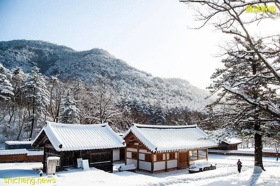 國外培養村醫要求有多高？從德國、韓國、古巴、新加坡四國看基層醫療