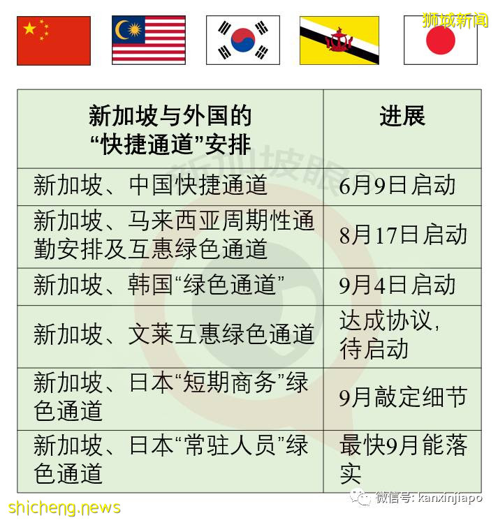 8月份新加坡输入病例近七成源自印度