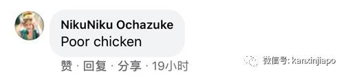 金文泰公鸡飞上3楼破窗而入，惨死居民屋内