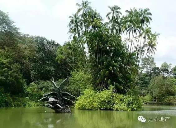 让我们一起陶醉在新加坡的植物王国里吧