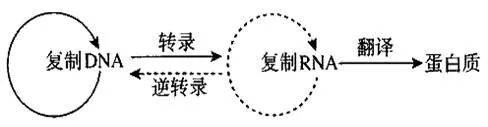 小坡岛科研 国大学者发现癌症形成新机制