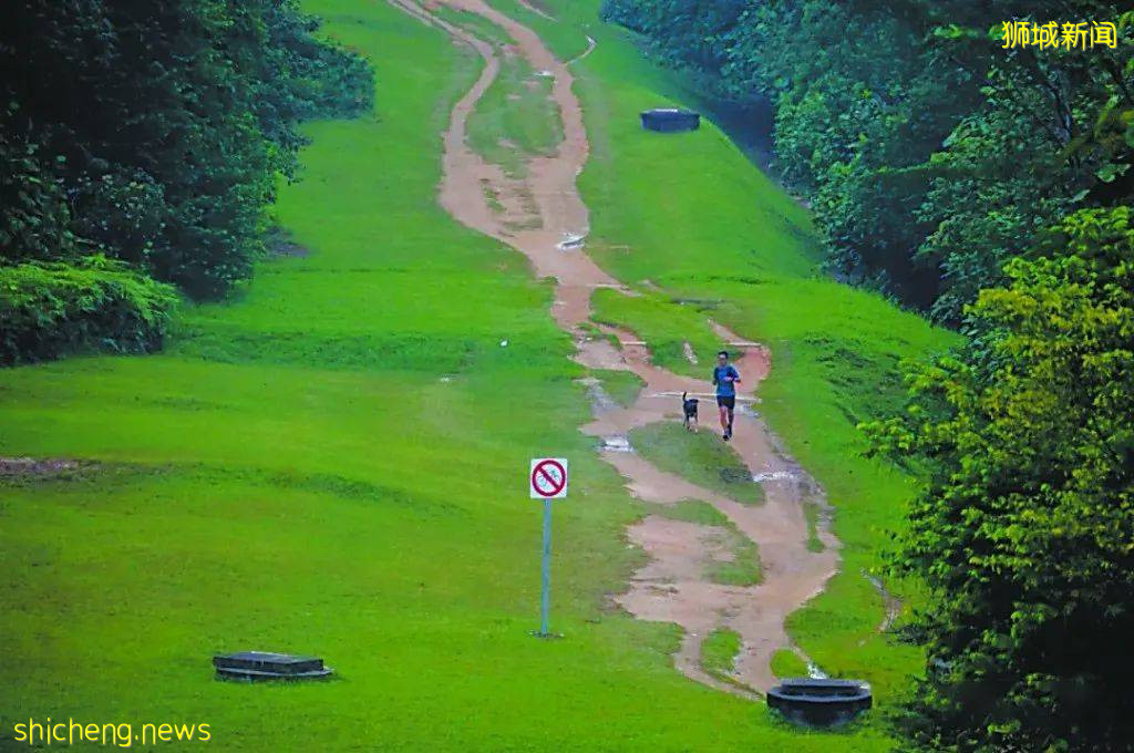 越野跑，跑进新加坡的“野”