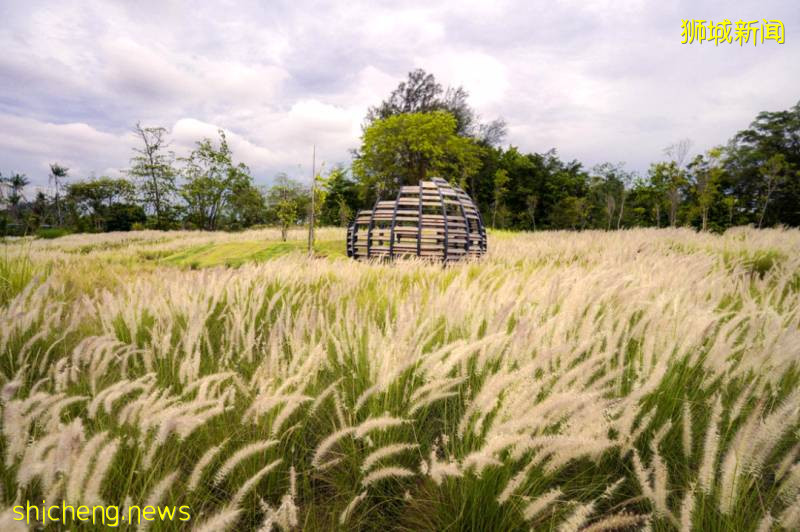 最適合帶孩子去的—新加坡裕廊湖畔花園