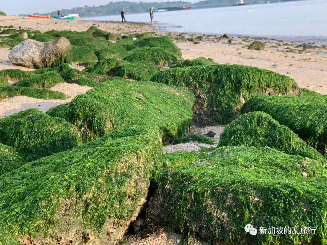 新加坡最宁静的村庄