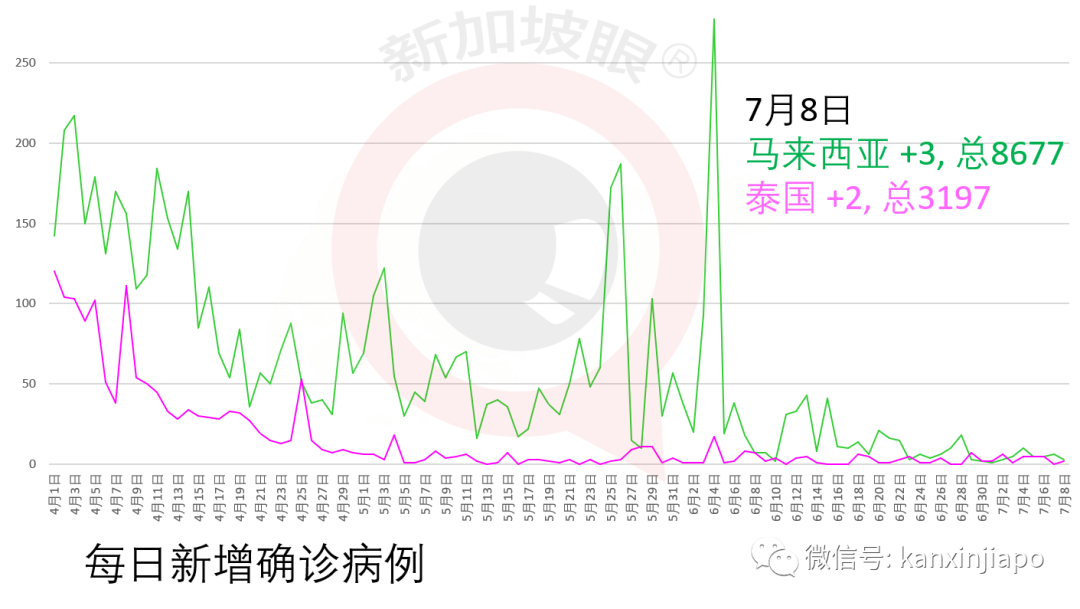 新增X，累计X | 新加坡首投族注意了！如何投票？如何计票？如何公布成绩？