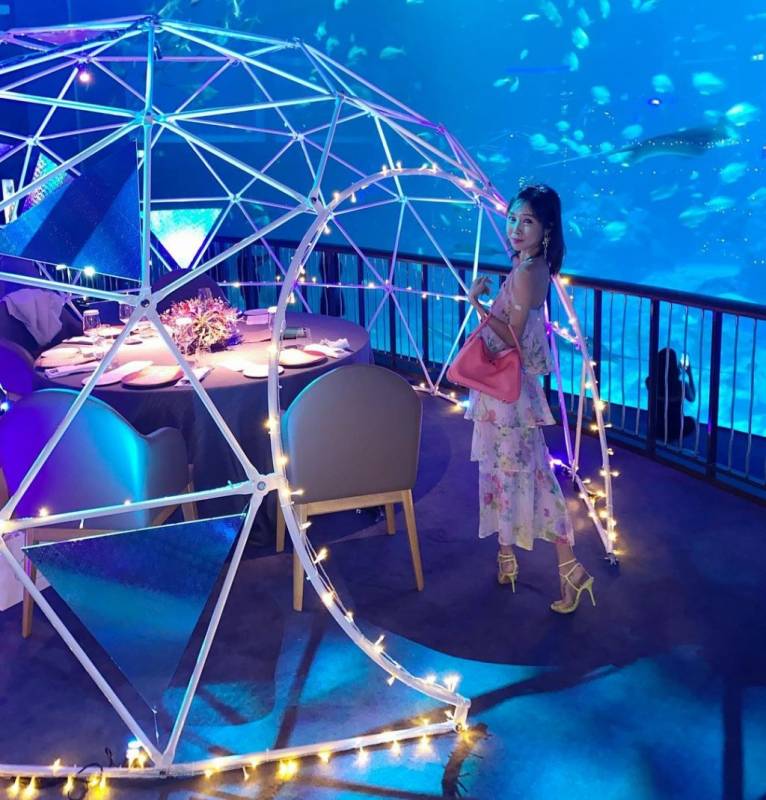 圣淘沙S.E.A.海洋馆餐厅，圣诞节主题“深蓝夜宴”！梦幻圆顶冰屋、探索迷人深海🐋 来一份浪漫的限定晚餐