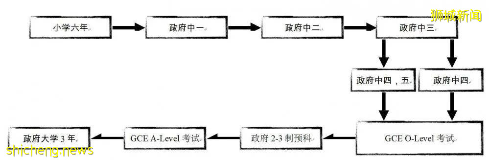 真正國際教育！身邊朋友都把孩子送這兒來了