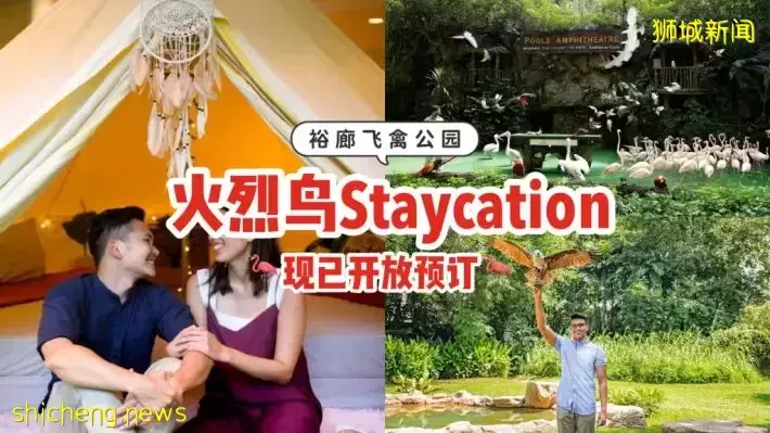 裕廊飞禽公园火烈鸟Staycation，现已开放预订！2天1夜活动超精彩，近距离与小动物互动接触🦩