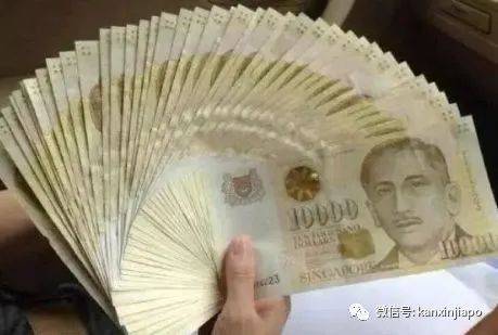 新加坡最大公共机构欺骗案：夫妇合谋骗取政府4000万培训补助金