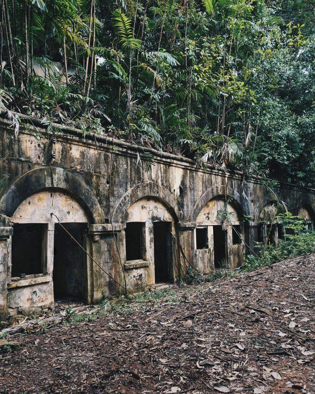 探险基地！新加坡“秘密”徒步区🤫 战争古迹遗物+山顶堡垒炮台