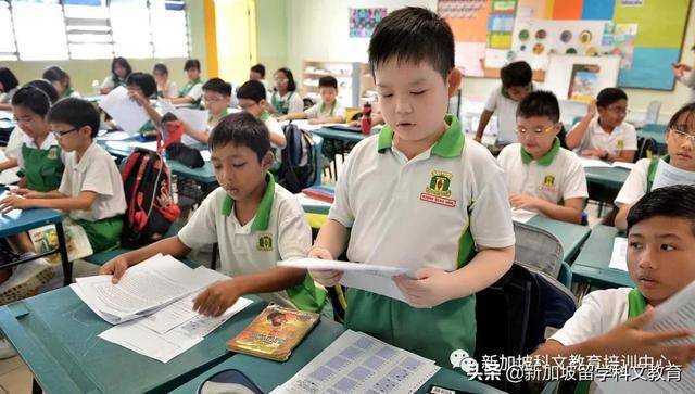 來新加坡讀政府小學，這些內容一定要知道