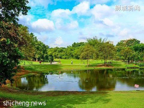 新加坡著名旅游景点——植物园