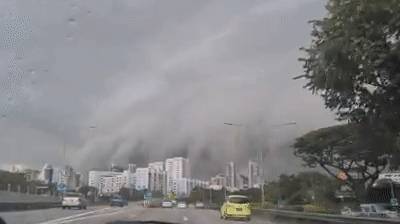 犹如世界末日！实拍新加坡被海啸云“吞没”！暴雨、发大水、树倒