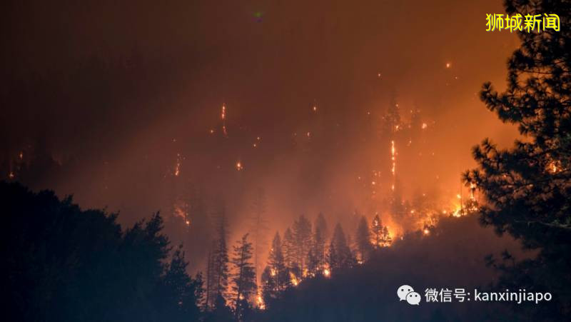 印尼突发森林大火，新马地区恐将迎来烟霾