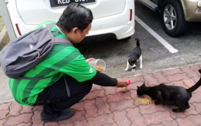 好有爱！大马员工兼职 只为买食物给流浪猫