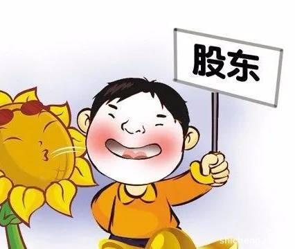 【新加坡公司注册小知识】全面了解-新加坡私营公司的股东权利