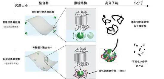 发达的新加坡，为何明年才正式“限塑”