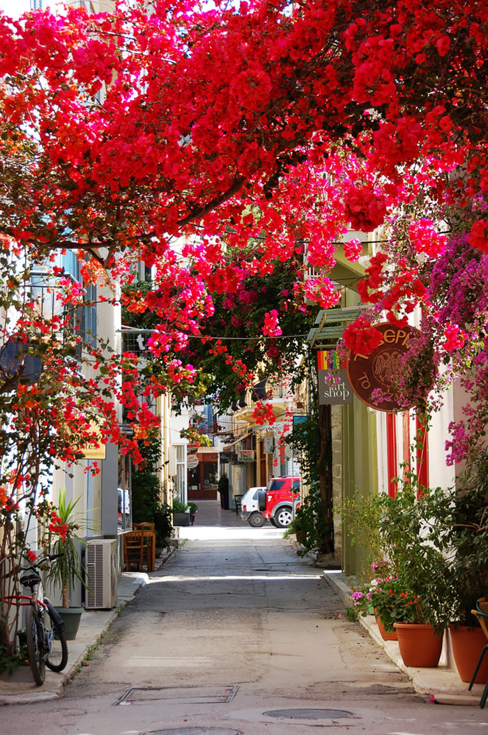 beautiful-streets-trellis-canopies-10__700.jpg