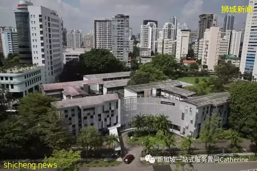 想进政府学校的看过来：新加坡学生的升学途径