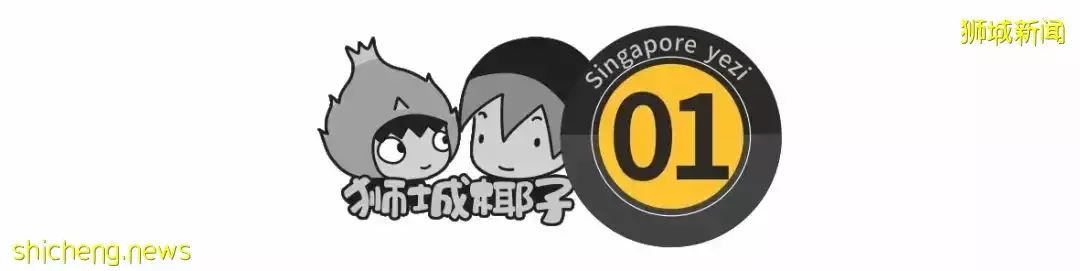 新加坡病例超100万，躺平后为什么没有崩溃？原来因为这5点