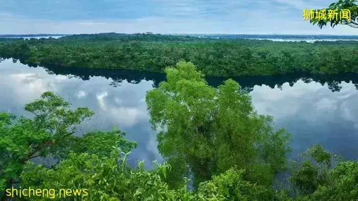 新加坡年底假期全新“必修”景点！这些林俊杰打卡的网红景点也不容错过