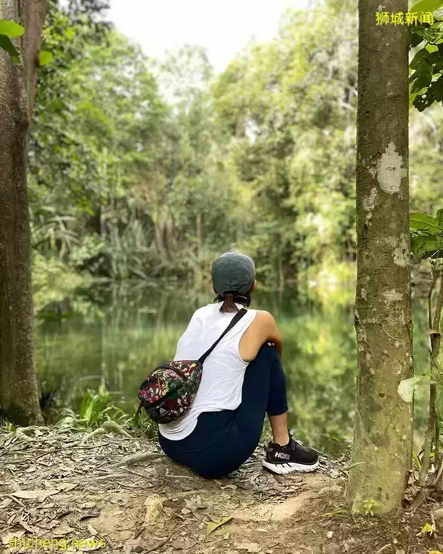 走出钢骨都市，返璞归真特辑🍃精选7大自然景点，带你感受原生态新加坡🌳 