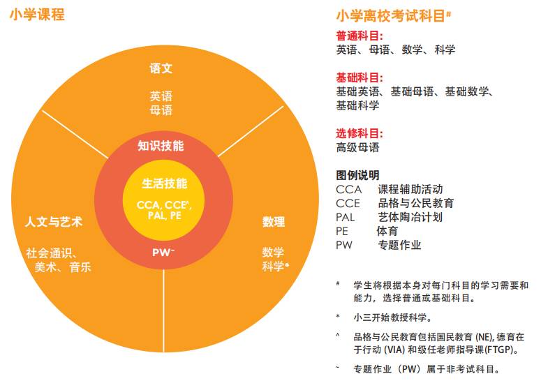 入學條件、課程設置、升學路徑、學費對比，新加坡3種主流學校詳解來啦