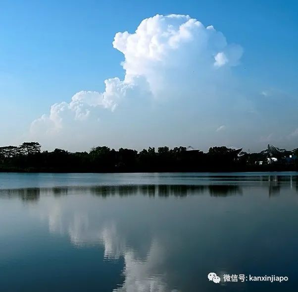 嫌周围蚂蚁太多，男子擅自移动穿山甲，违法了