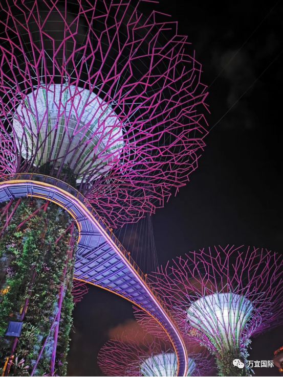 糟糕，是心动的感觉！Lost in Singapore！迷醉在滨海湾灯光秀的圣诞童话里