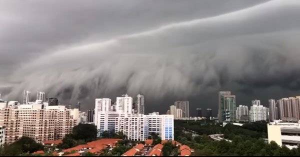 狮城昨午多区水灾  出现巨型积雨云  树倒车抛锚 