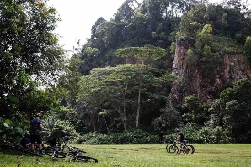 13個新加坡最好玩的公園！野餐，徒步，釣蝦，捕螃蟹