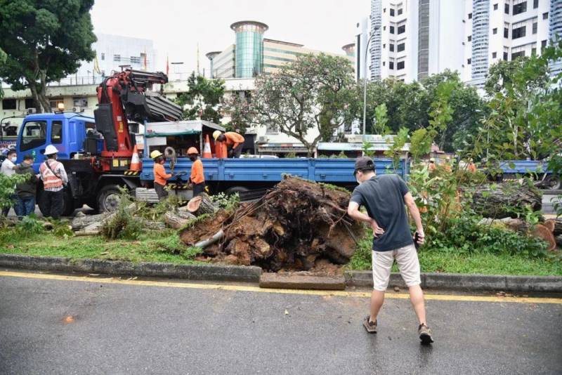 犹如世界末日！实拍新加坡被海啸云“吞没”！暴雨、发大水、树倒