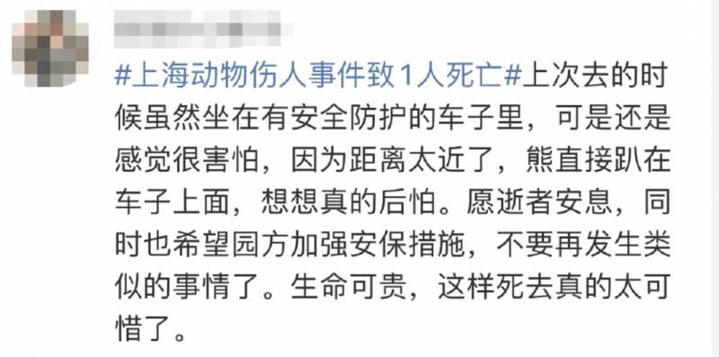 殘忍！上海動物園熊吃人，親眼目睹！新加坡也發生過類似案件！印度最慘