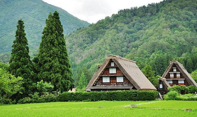 新加坡對日本岐阜等14個縣的禽類産品實施臨時進口限制