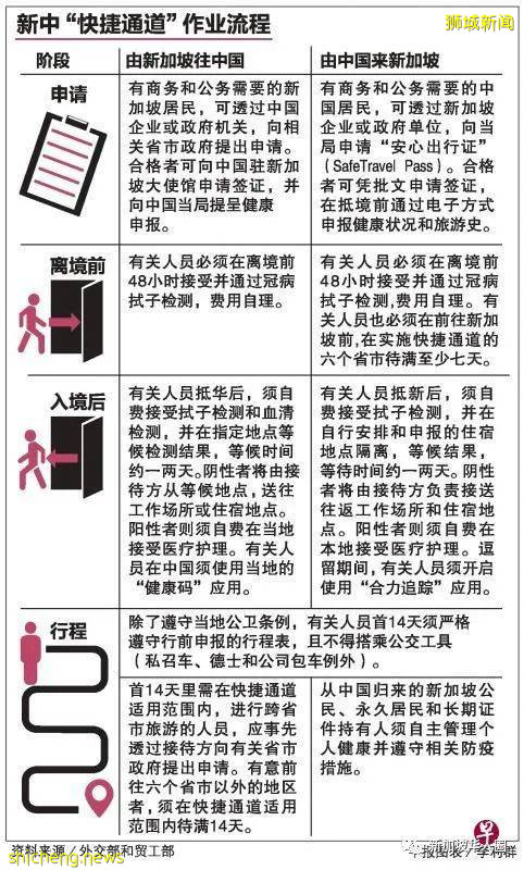 新增517例！新加坡-中國快捷通道6月8日啓用！陰性者無須隔離!