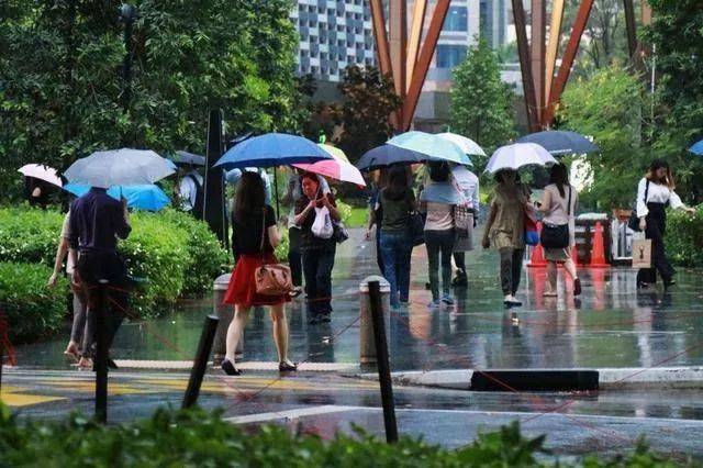 新加坡这场雨，竟然要持续到明年1月中我的秋裤在哪儿