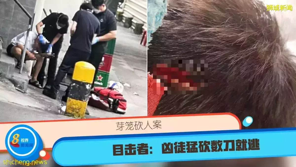 芽笼砍人案 目击者：凶徒猛砍数刀就逃 受害者是乖男孩