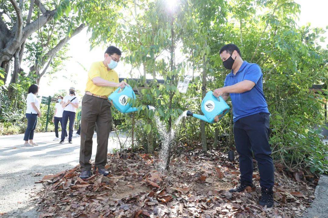 溜娃新去处！新加坡植物园推出新景点！COMO小树林、巨型波罗蜜、探秘馆、艺廊开放啦