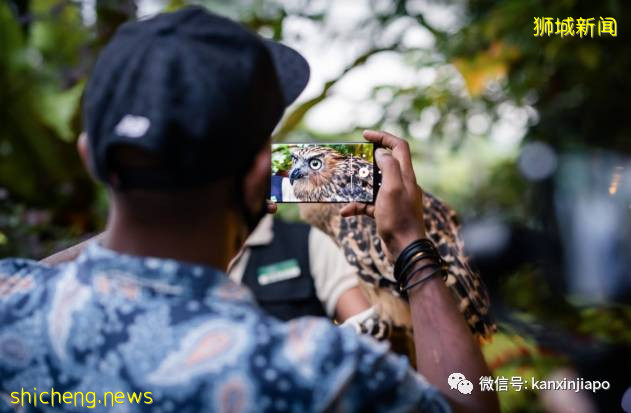 小米新加坡牵手Night Safari动物园网红大象，温情满满