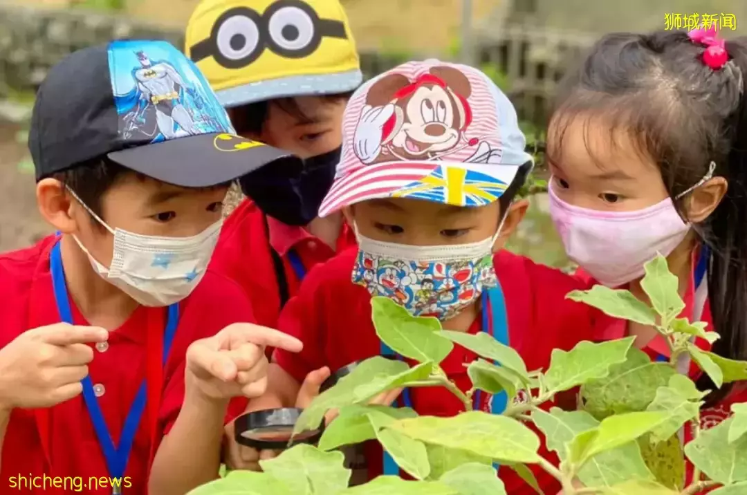 這間新加坡幼兒園火了！西方教育法+中國傳統文化，學編程、京劇