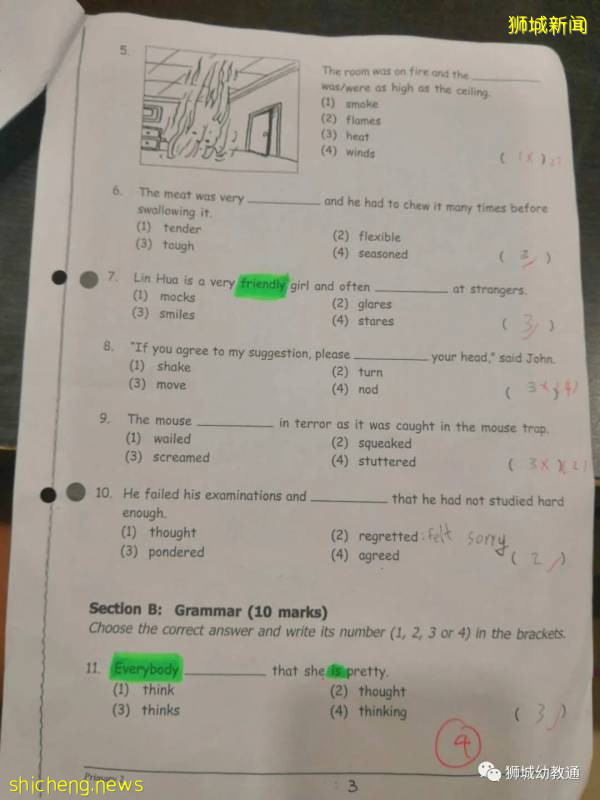 勵志！英語零基礎的7歲娃，2個月考入新加坡政府小學!