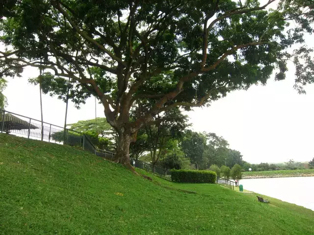 新加坡人深夜排隊，翻新一年多的網紅景點又開了