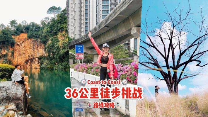 新加坡海岸步道🤩 全长36公里的Coast