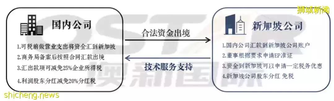 新加坡关联公司是什么