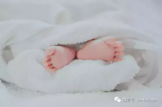 科普！在新加坡生孩子要花多少钱