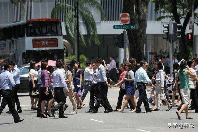 国土狭小的新加坡，靠什么承载564万人口