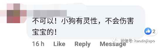 主人怕两岁小狗咬伤小孩，竟把它人道毁灭......