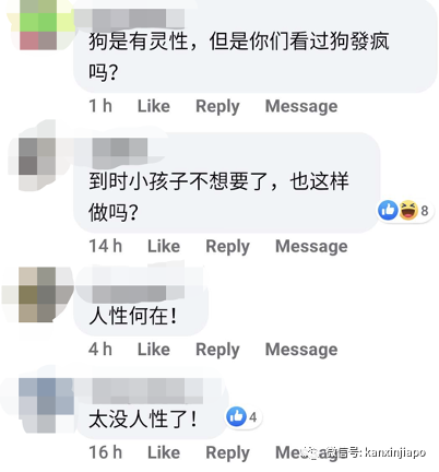 主人怕两岁小狗咬伤小孩，竟把它人道毁灭......